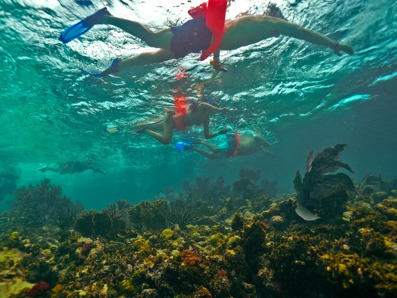 Isla Mujeres Snorkel and Lunch in Isla Mujeres, photo 5