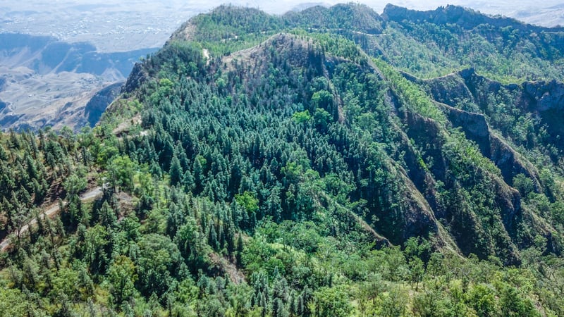 Guided Nature Hike in Serra Malagueta, photo 3
