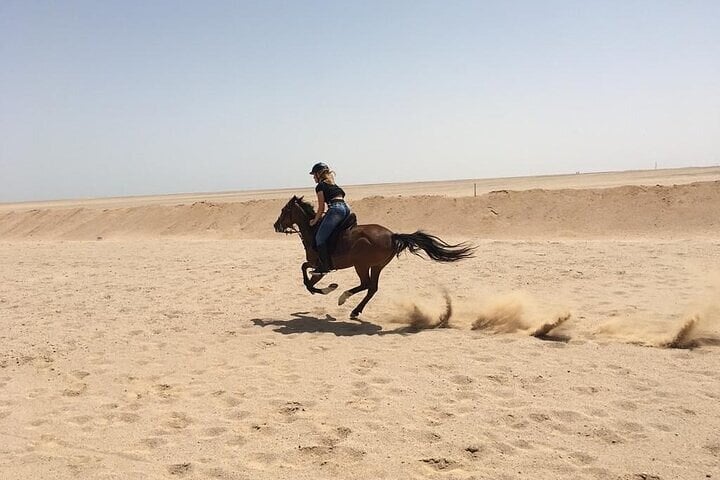 Hurghada : Horse Riding 2 Hours Sea & Desert with Transfer, photo 5