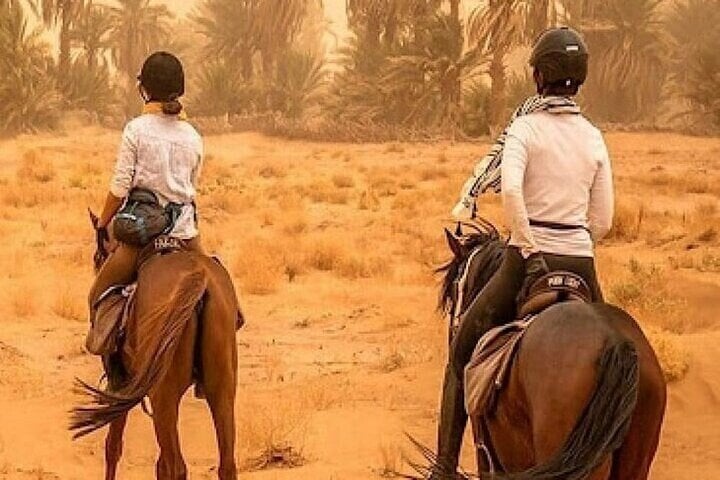 Palmeraie Grove: Two Hours Horse Riding and Transfer in Marrakesh, photo 2