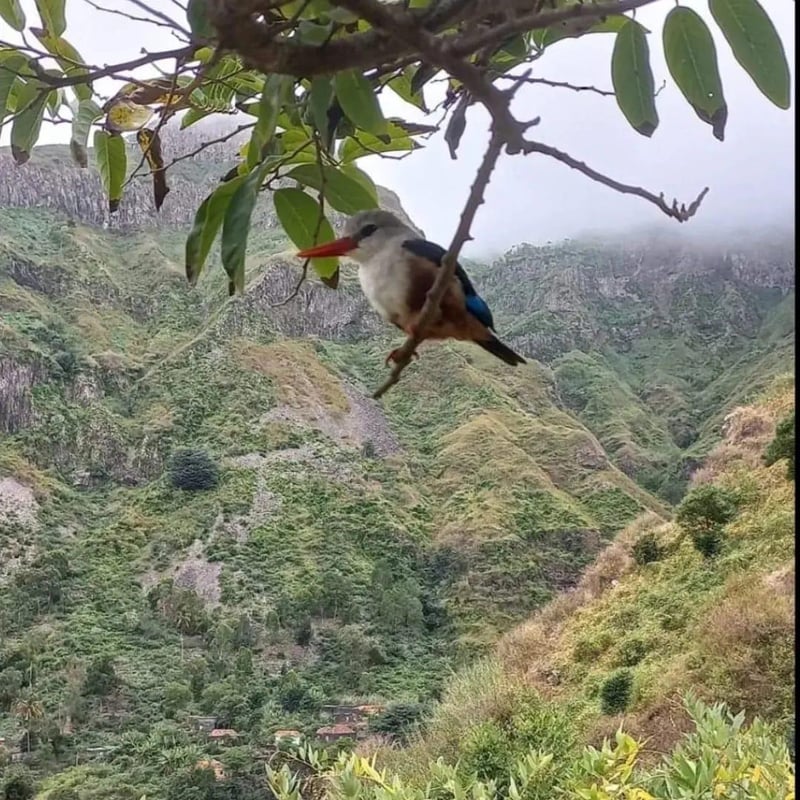 Mantaba Hike and Traditional Cuscus Workshop, photo 3