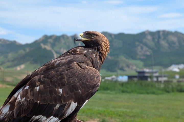 2 Day Gorkhi Terelj Tour with Horse Riding, Hiking and Ger Stay in Terelj, photo 5