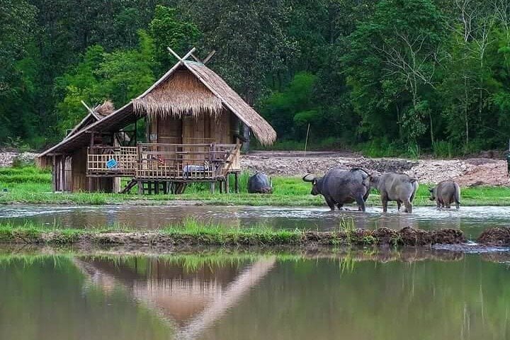 Chiang Mai to Huay Tueng Thao Lake Bike Adventure, photo 5