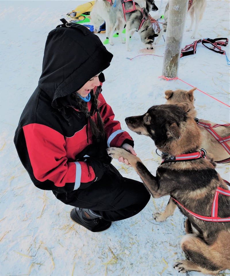 Husky and Snowmobile Safari in Rovaniemi, photo 3