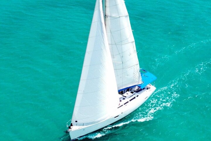 Luxury Sailing to Catalina Island in La Romana, photo 3