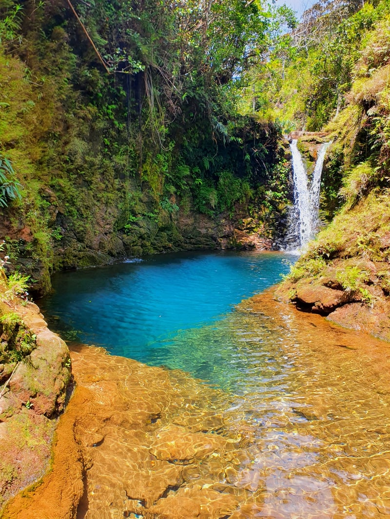 Waterfall Hiking at Mare Longue in Vacoas, photo 2