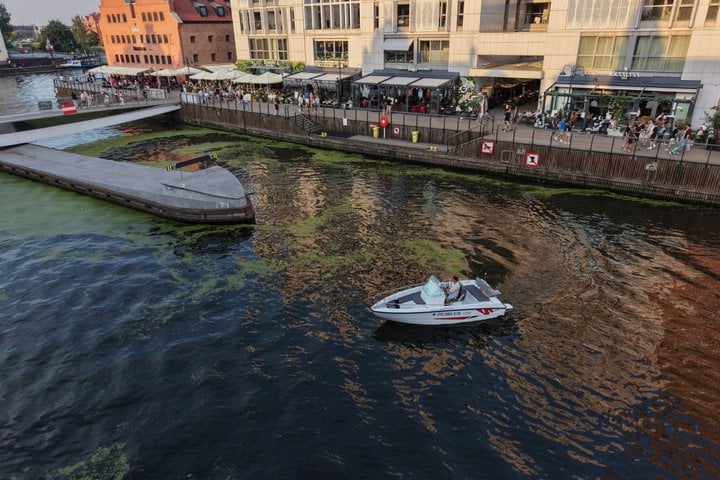 Sunset Cruise with Wine or Prosecco in Gdańsk, photo 4