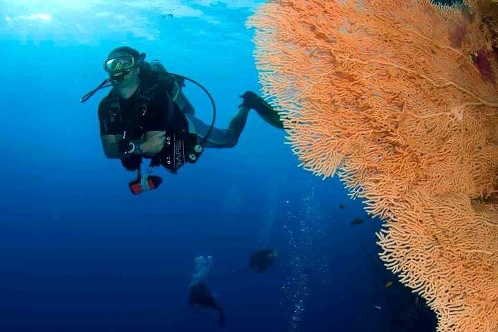 Scuba Diving Boat Trip for Certified Divers – 2 Stops with Lunch in Hurghada, photo 4