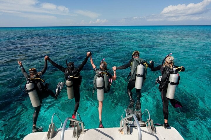 Daily Diving Experience with Lunch in Sharm El Sheikh, photo 2