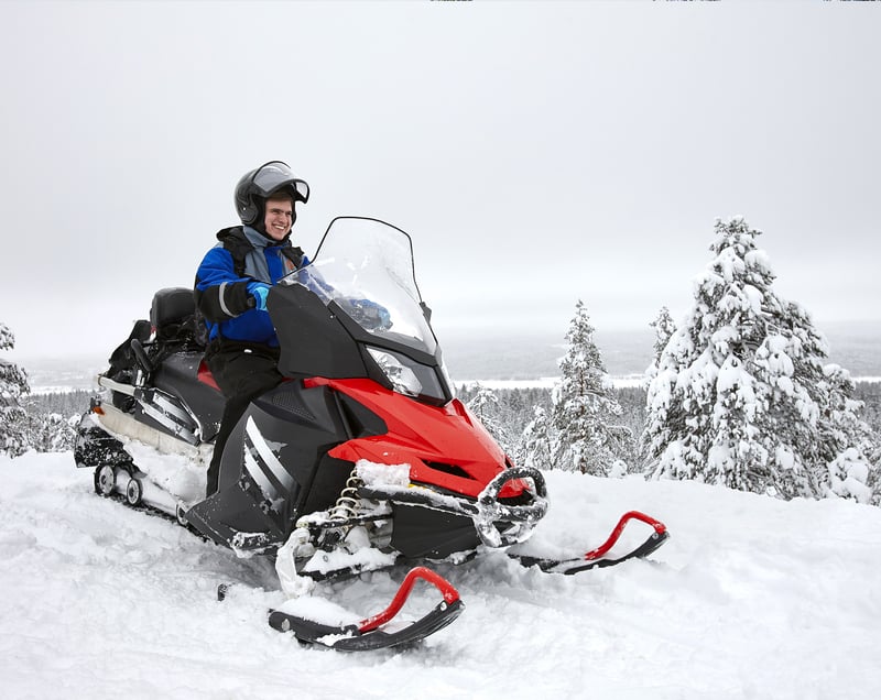 Snowmobile Ride and Arctic BBQ in Rovaniemi, photo 5