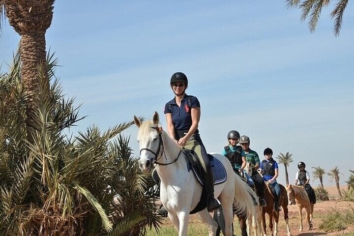 Palmeraie Grove: Two Hours Horse Riding and Transfer in Marrakesh, photo 5