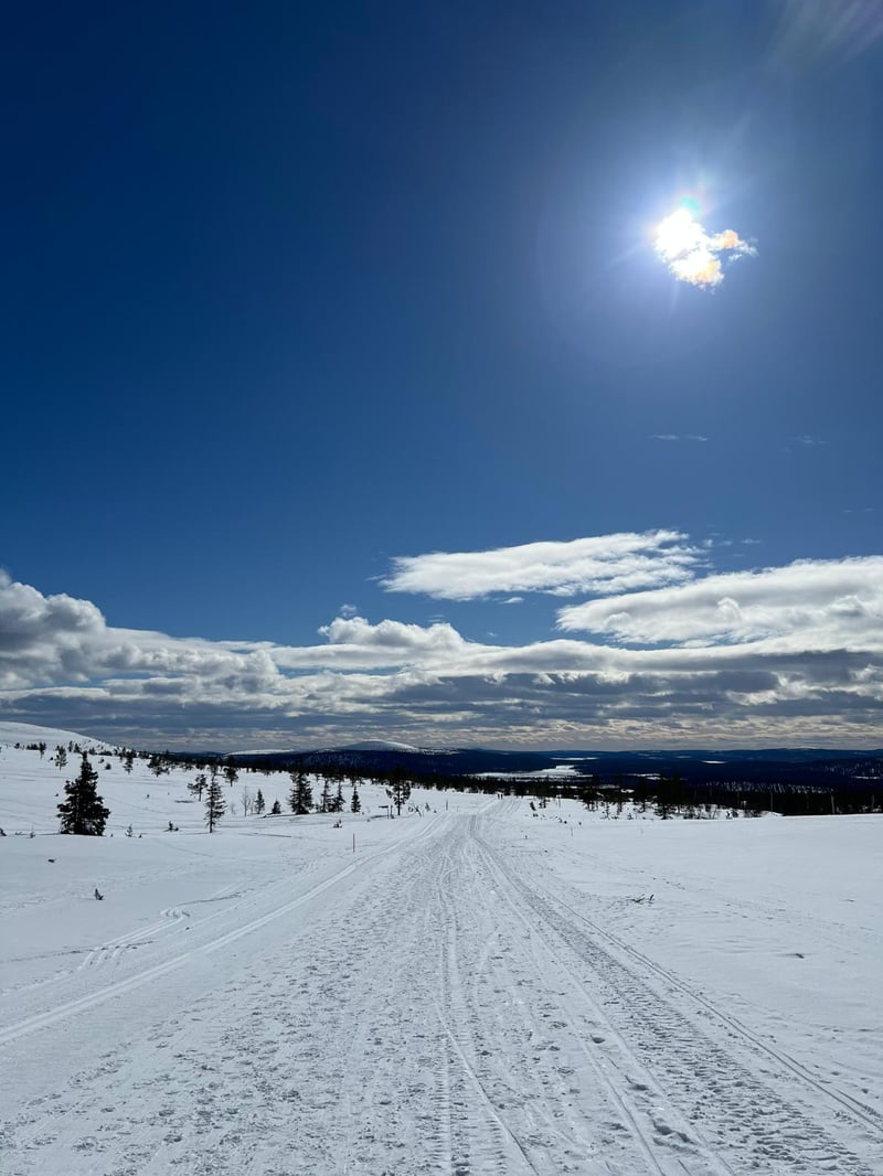 Snowmobile Tour and Ice Fishing in Rovaniemi, photo 4
