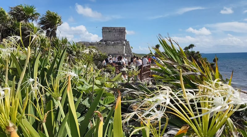 Tulum Cenote Snorkel and Zip Line Jungle Tour in Riviera Maya, photo 3