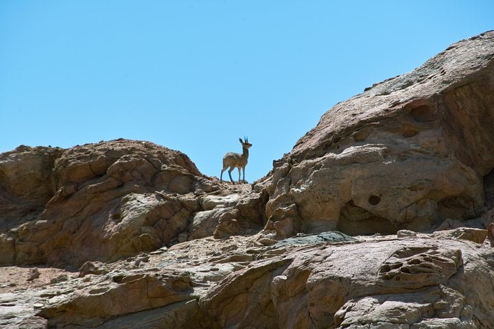 Off Road Spitzkoppe Tour, photo 3