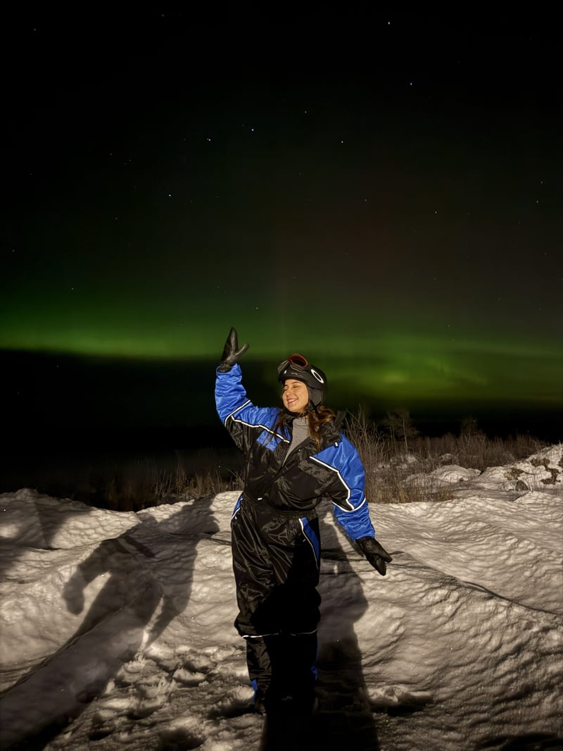 Electric Reindeer Safari to Aurora Cabin for Northern Lights in Rovaniemi, Lapland, photo 3
