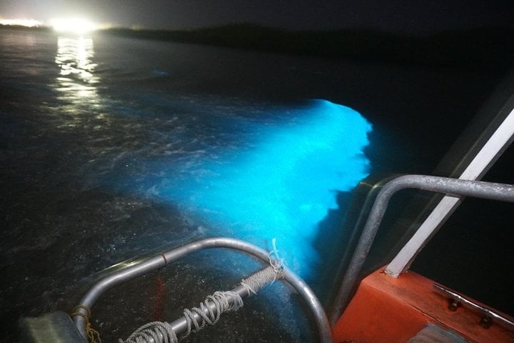 Bioluminescent Lagoon Boat Tour in Falmouth, Foto 5