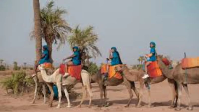 Palmeraie Camel Ride in Marrakech, photo 2