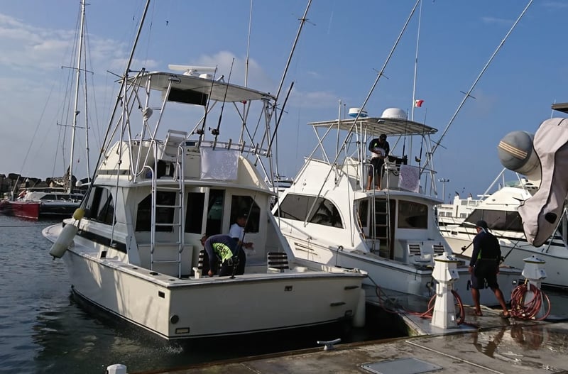 Sport Fishing in Cancún and Riviera Maya, photo 3