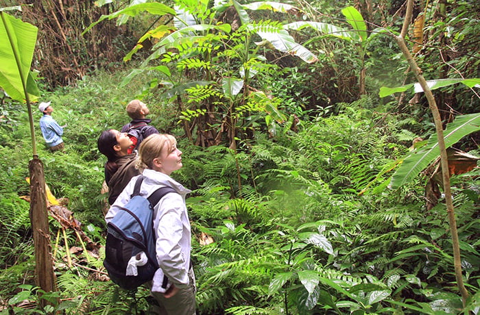3 Day Trekking and Kayaking in Cat Ba, Foto 2