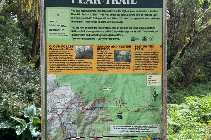 Blue Mountain Hiking and Coffee Tour, photo 2
