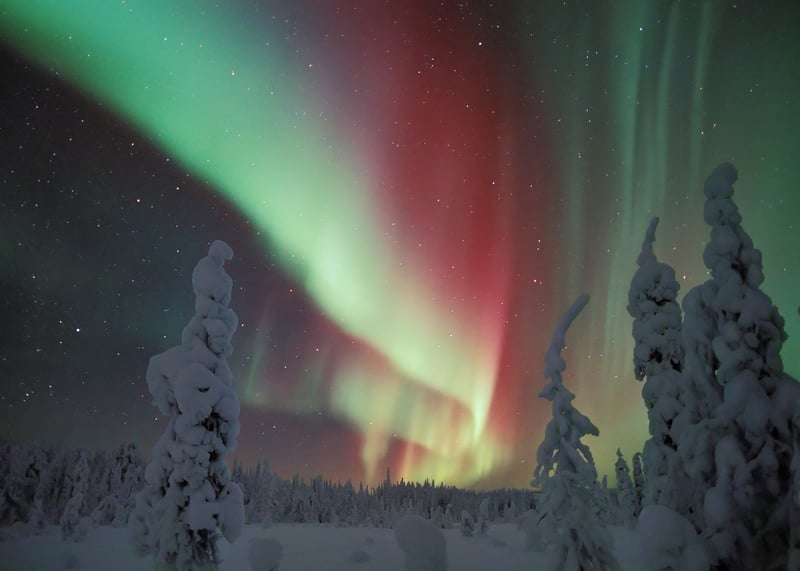 Safari en moto de nieve en busca de auroras en Rovaniemi, foto 2