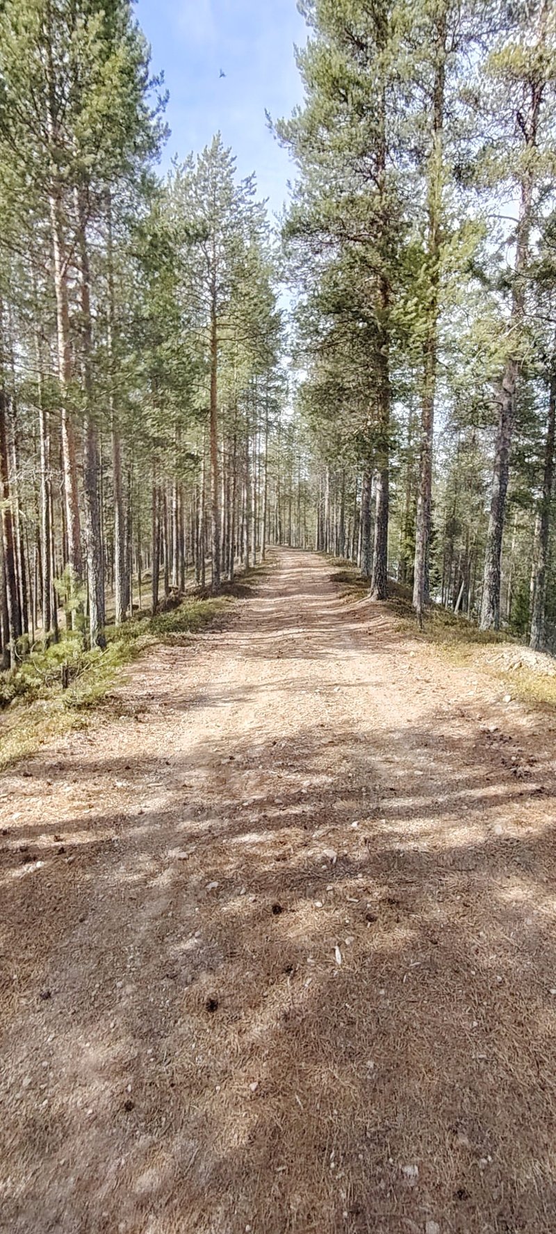 Classic Gravel Ride in Kuusamo, photo 5