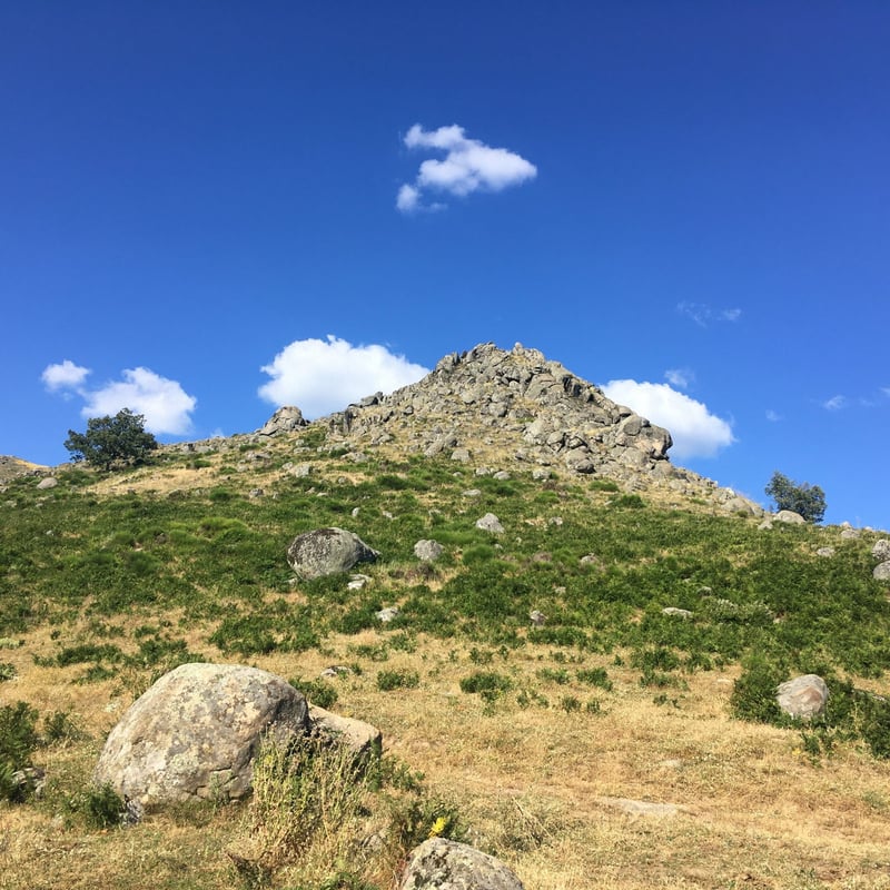Foraging Hike in Cabezabellosa, photo 3