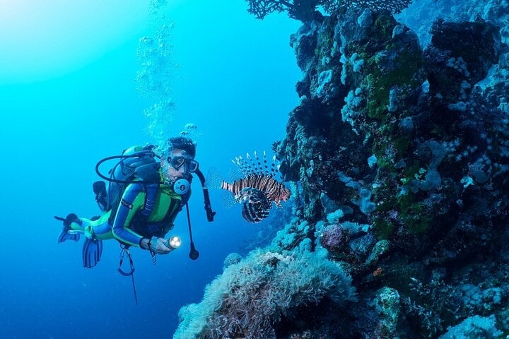 Abu Dabbab Snorkelling Trip: Explore Marine Life in Marsa Alam, photo 5