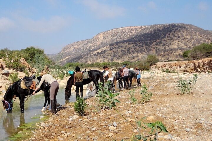Discover Forests and Rivers: 2 Hours Horseback Riding in Agadir, photo 3