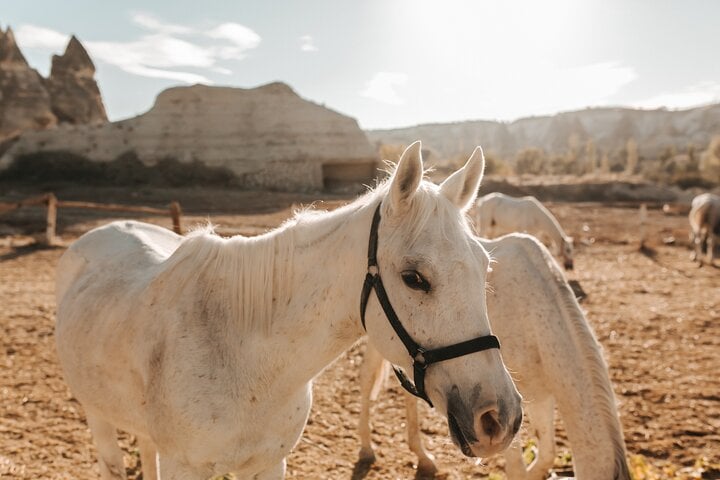 Sunset Horseback Ride in Cappadocia, photo 5