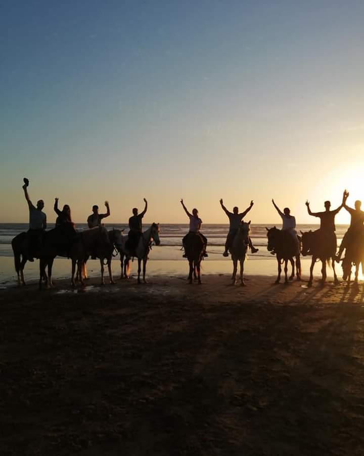 Sunset Horse Riding on Tamraght Beach, photo 3