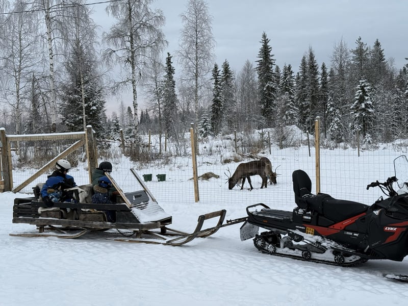 Ice Fishing with Snowmobile Sleigh Ride in Rovaniemi, Lapland, photo 4