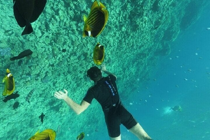 Hamata and Qulaan Islands Snorkelling Trip with Lunch in Marsa Alam, photo 5