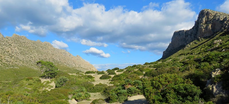 Coastal Valley Hike in Port de Pollença, photo 4