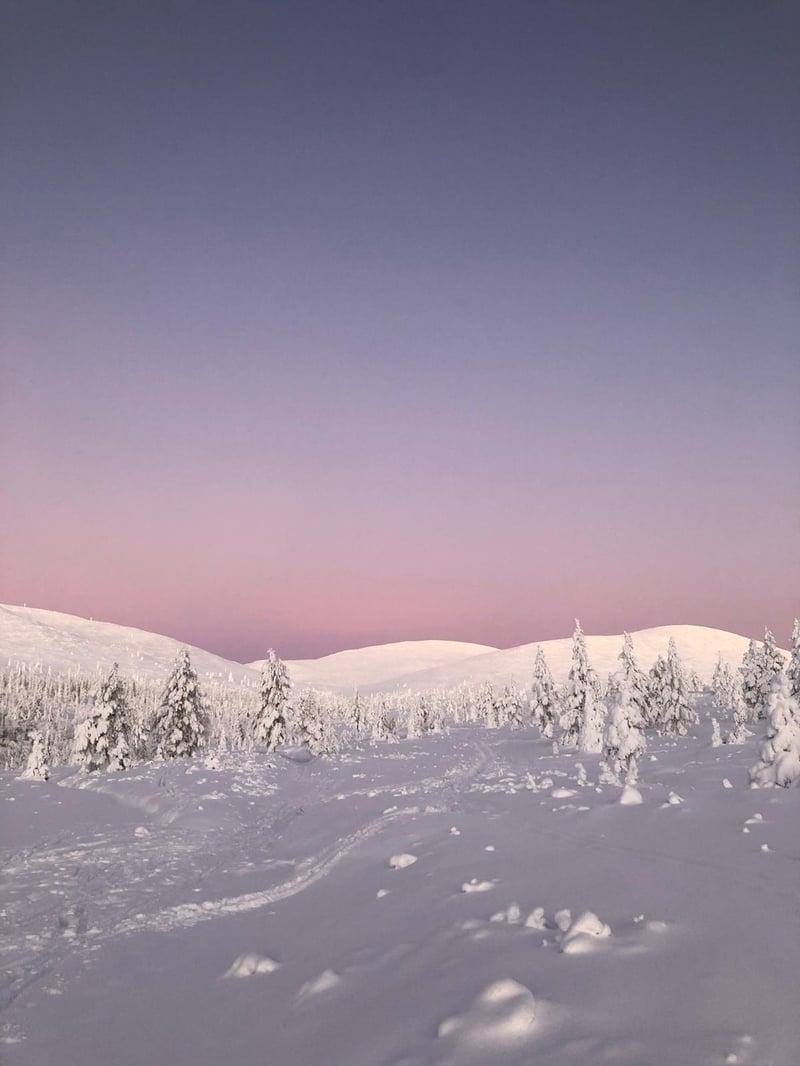 Snowshoeing in Rovaniemi, photo 4