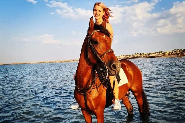 Swimming by Horse: 3 Hours on Beach and Desert with Transfer in Hurghada, photo 2