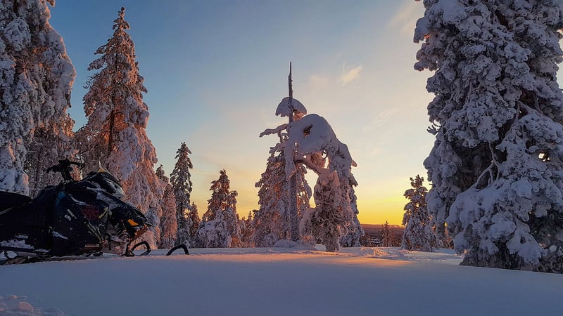 Heart of Wilderness Snowmobile Adventure in Rovaniemi, foto 4