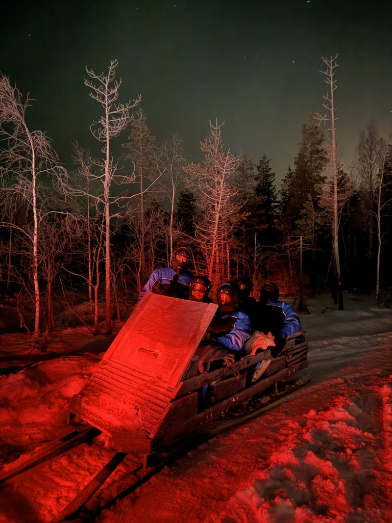 Snowmobile Sleigh Ride to Aurora Cabin for Northern Lights in Rovaniemi, Lapland, photo 4