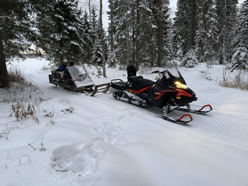 Snowmobile Sleigh Tour with Reindeer Farm Visit in Rovaniemi, Lapland, photo 3