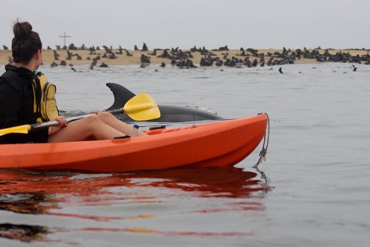 Kayaking and Off Road Tour in Walvis Bay, photo 3