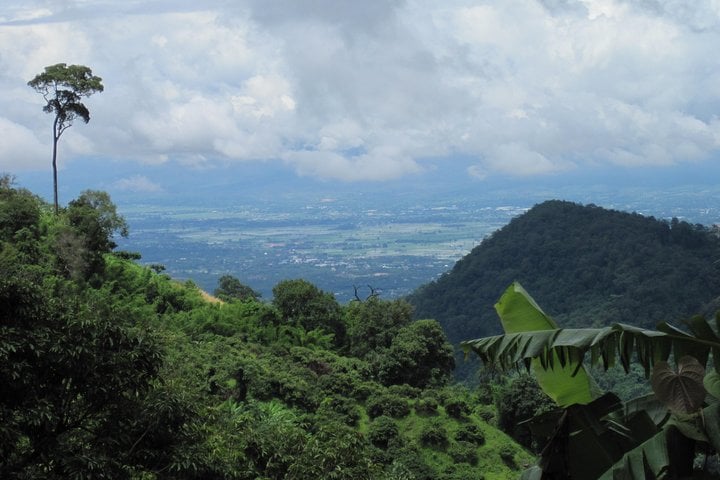Advanced Downhill Mountain Biking in Doi Suthep National Park, photo 4
