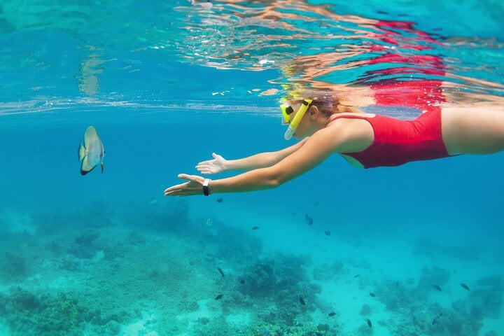 Dolphin Watching and Snorkelling at Lovina in Bali, photo 3