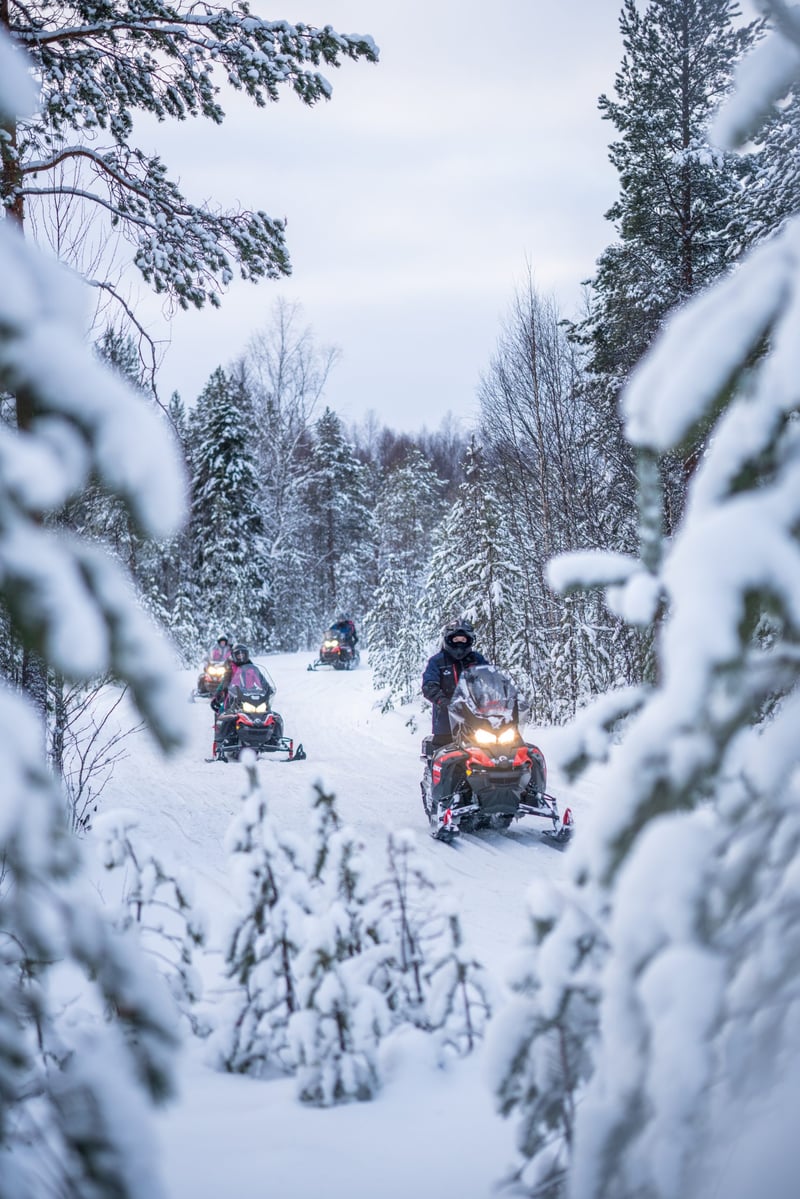 Snowmobile and Snowshoe Safari in Rovaniemi, foto 2