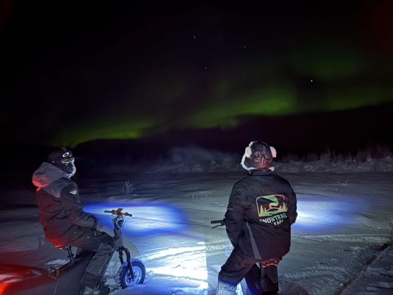Electric Reindeer Safari to Aurora Cabin for Northern Lights in Rovaniemi, Lapland, photo 5