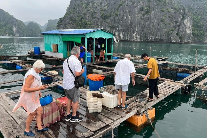 Overnight Kayaking and Sailing Cruise in Lan Ha Bay, photo 5
