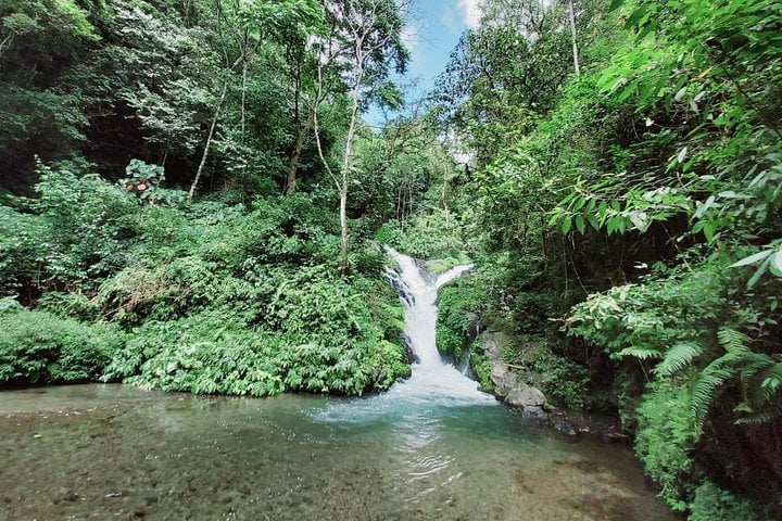 Randonnée aux cascades du nord de Bali, photo 3