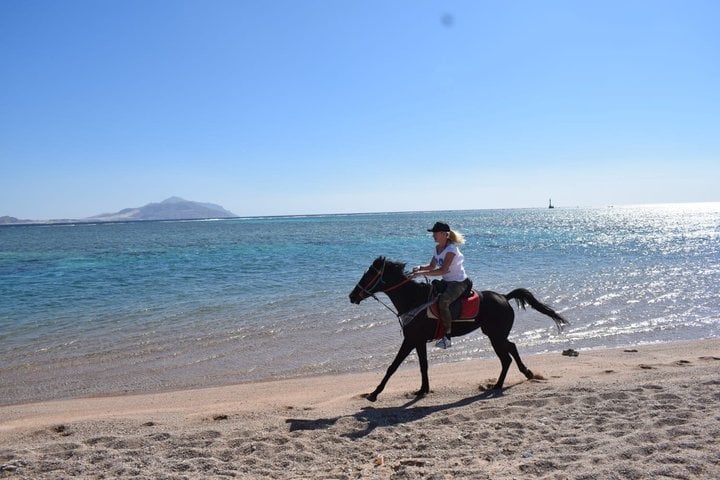Horse Riding: 2 Hours Sea and Desert with Transfer in Hurghada, photo 5