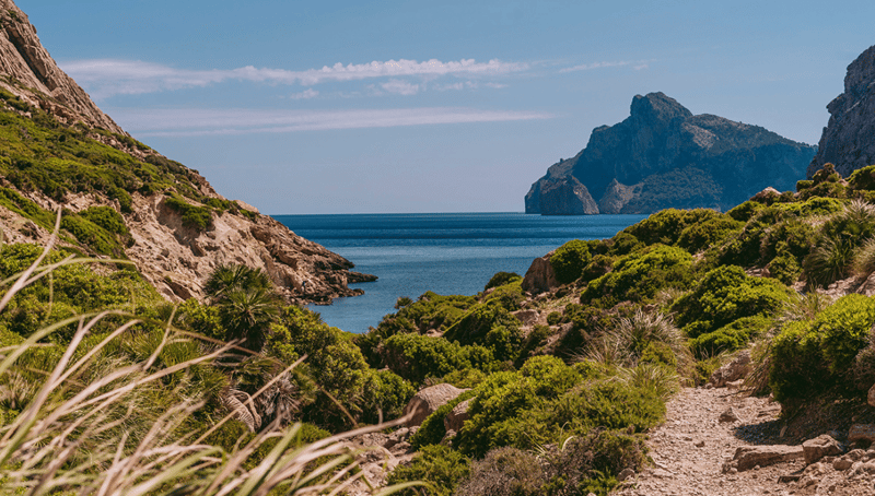 Coastal Valley Hike in Port de Pollença, photo 2