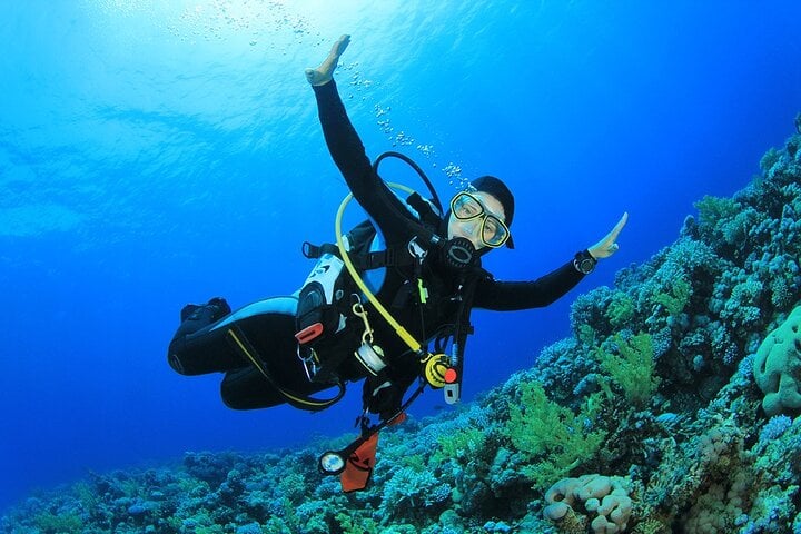 Daily Diving Experience with Lunch in Sharm El Sheikh, photo 4