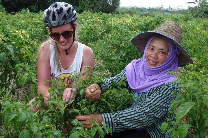 Leisure Mountain Bike and Kayak Day in Mae Ngat Valley, photo 3